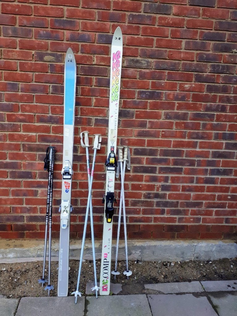 salomon ski bag canada